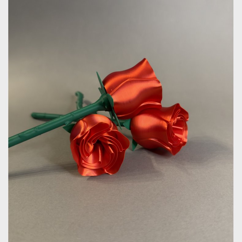 Evigheds Rose  - enkelt 