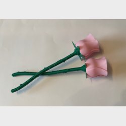 Evigheds Rose  - enkelt 