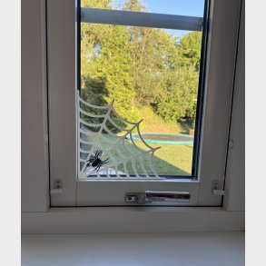 Halloween spindelv�v